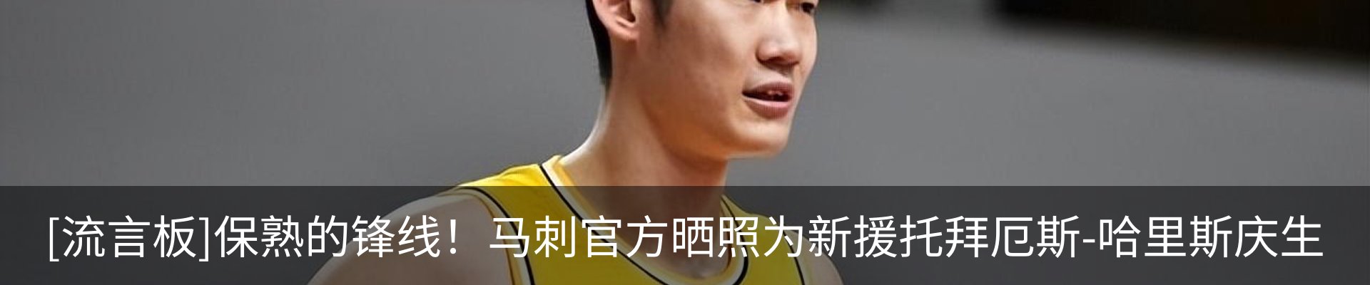 新闻动态